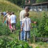 Parcelles pédagogiques 2009