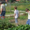 Parcelles pédagogiques 2009