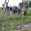 Jardins ouverts 2012