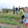 Jardins ouverts 2012