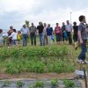 Jardins ouverts 2012