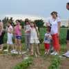 Jardins ouverts 2012