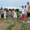 Jardins ouverts 2012