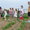 Jardins ouverts 2012