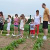 Jardins ouverts 2012