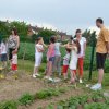 Jardins ouverts 2012