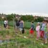 Jardins ouverts 2012