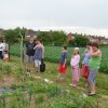 Jardins ouverts 2012