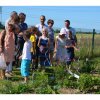 Jardins ouverts 2014