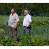 Jardins ouverts 2014