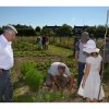 Jardins ouverts 2014