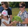 Jardins ouverts 2014