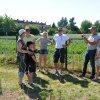 Parcelles pédagogiques 2015
