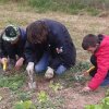 Parcelles pédagogiques 2015