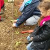 Parcelles pédagogiques 2016