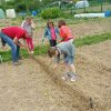 Parcelles pédagogiques 2016