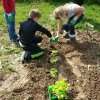 Parcelles pédagogiques 2016