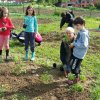 Parcelles pédagogiques 2016