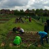 Parcelles pédagogiques 2016
