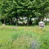 Potagers 