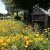 Les potagers en 2020